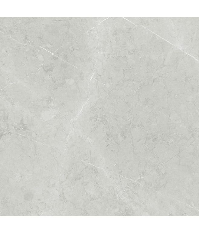 Piastrella Effetto marmo Altamura Silver